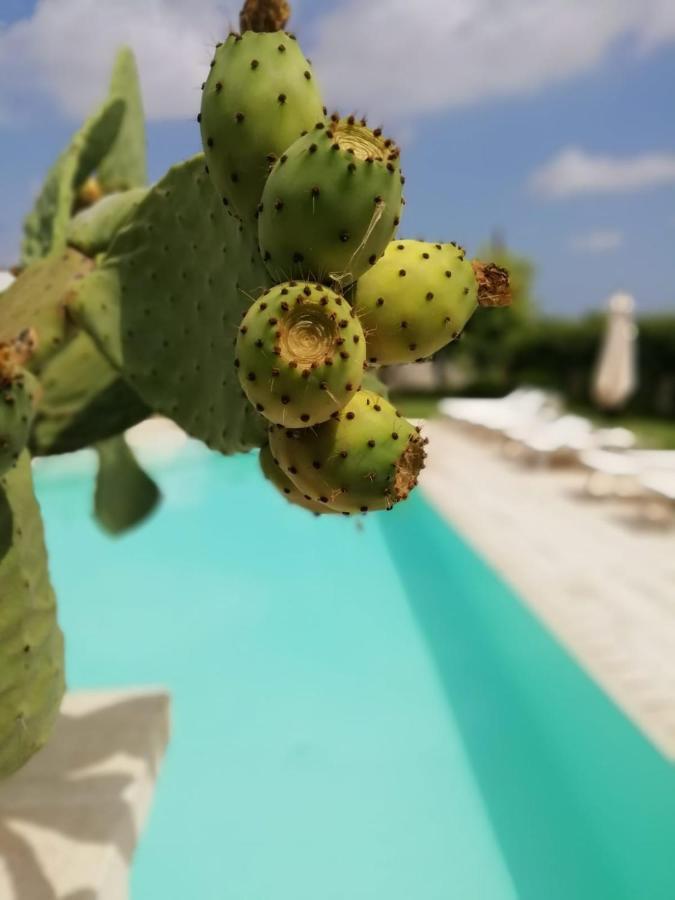 Il Giardino Del Tiglio Bed & Breakfast Uggiano La Chiesa Exterior photo